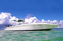 Bateau Nemo