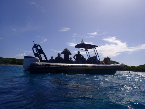 Cliquez pour prévisualiser l'image Randonnée palmée